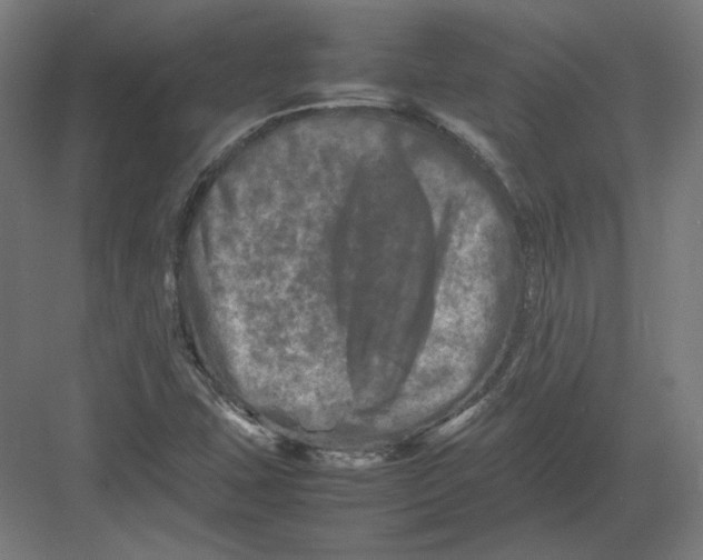 X0000082171407200702092231