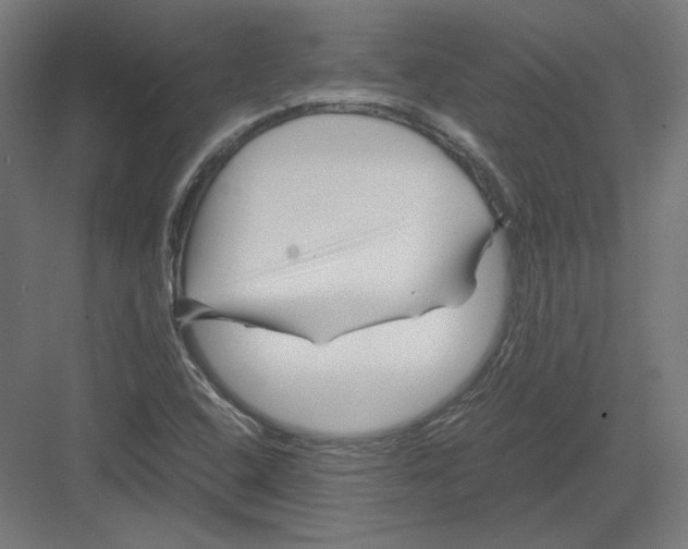 X0000082171408200702092231