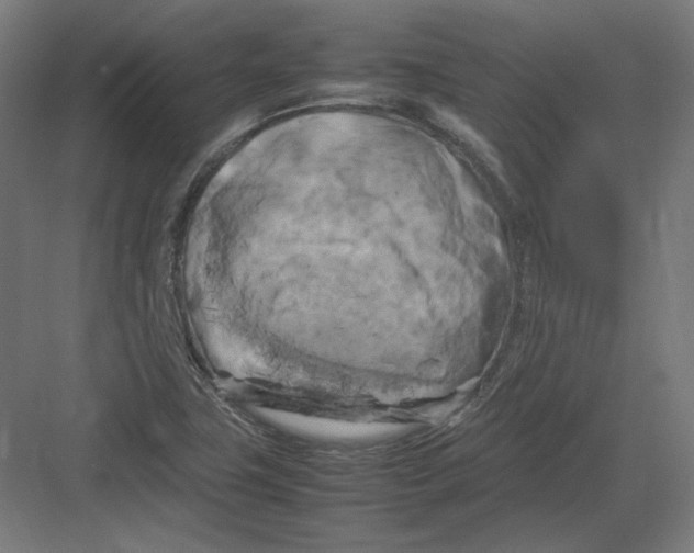 X0000082171411200702092231