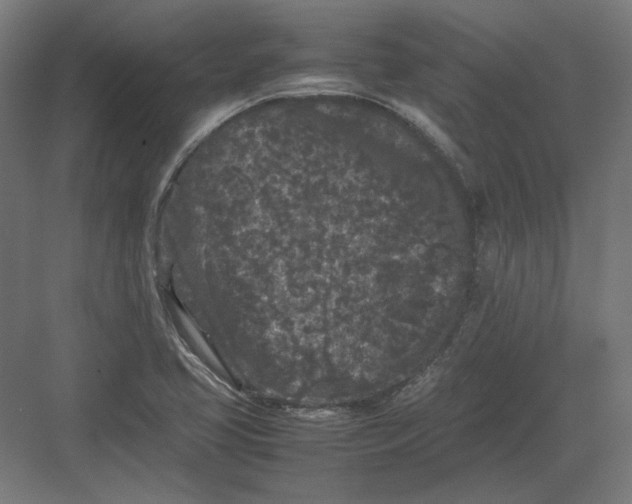 X0000082171413200702092232