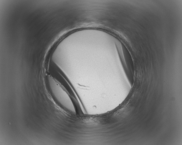 X0000082171414200702092232