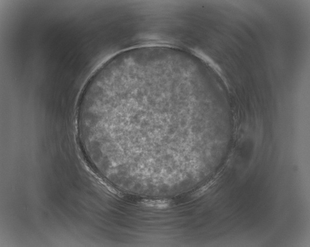 X0000082171415200702092232