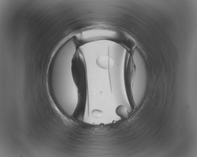 X0000082171418200702092232