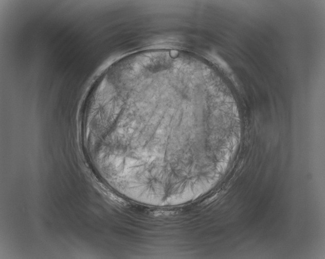 X0000082171419200702092232