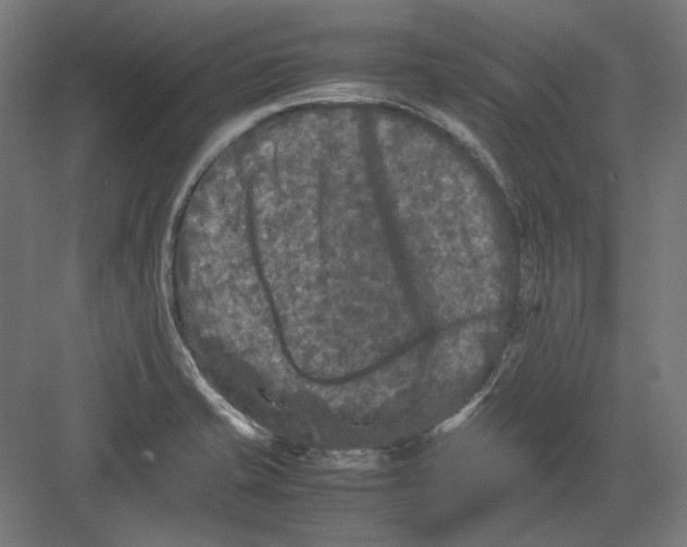 X0000082171421200702092232