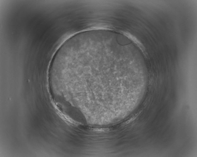 X0000082171423200702092232