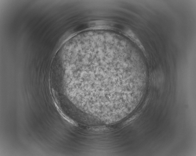 X0000082171425200702092232