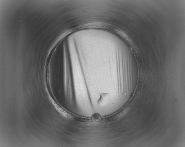 X0000082171426200702092232