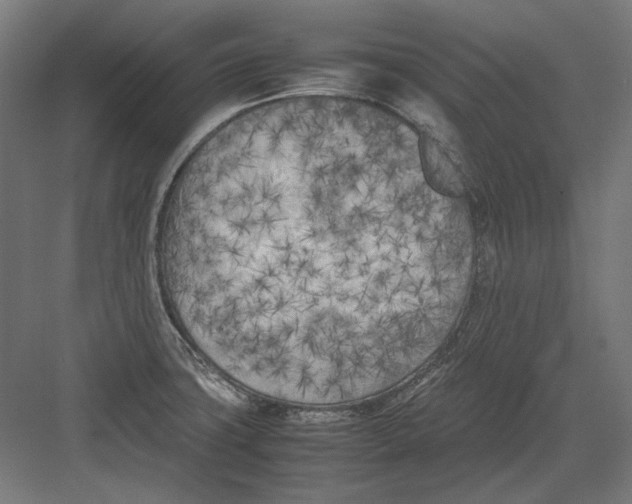 X0000082171427200702092232