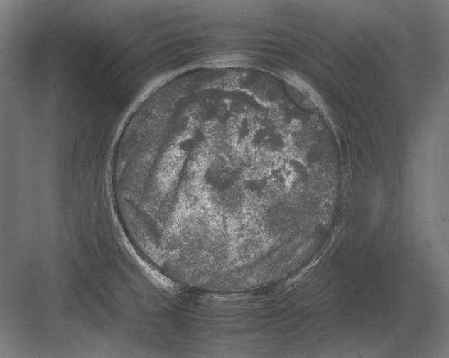 X0000082171429200702092232