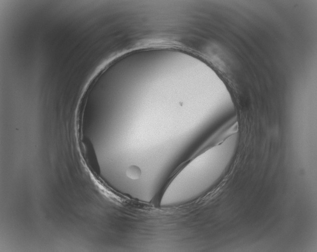 X0000082171430200702092232