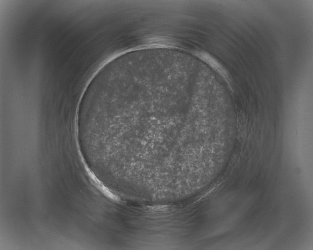 X0000082171431200702092232