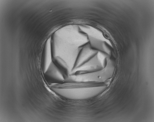 X0000082171433200702092232