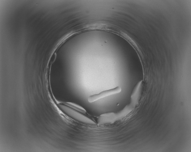 X0000082171434200702092232