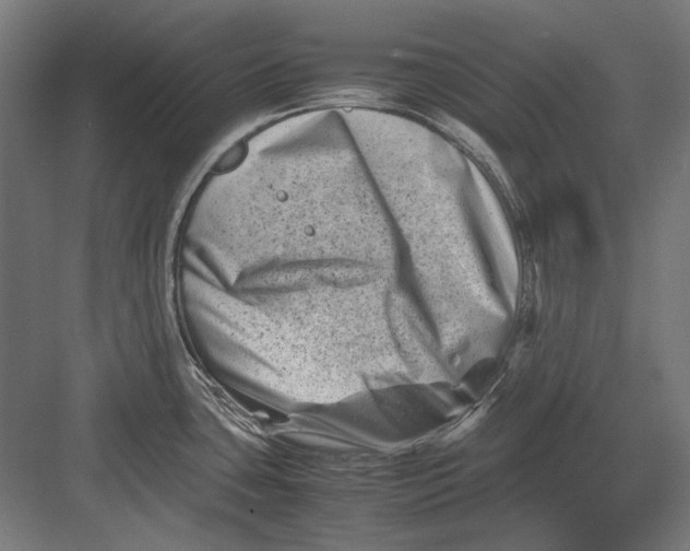 X0000082171435200702092232