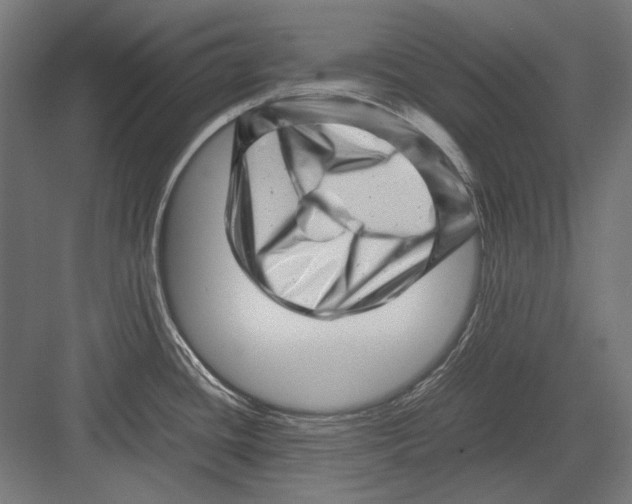 X0000082171436200702092232