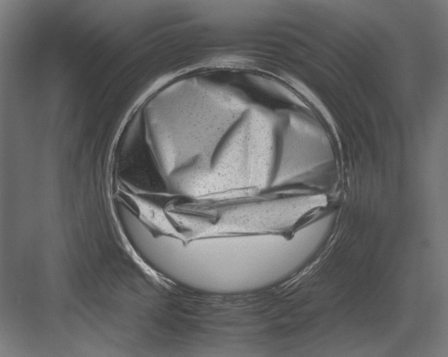 X0000082171437200702092232