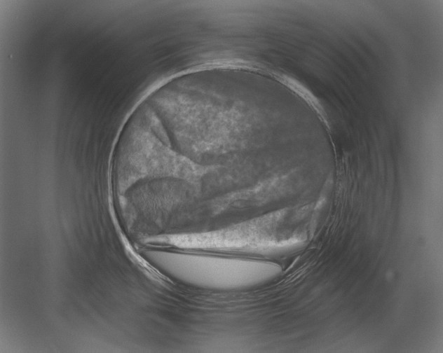 X0000082171439200702092232