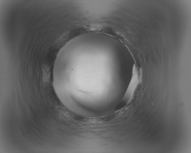 X0000082171443200702092231