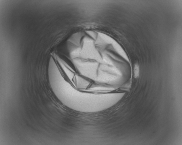 X0000082171444200702092231