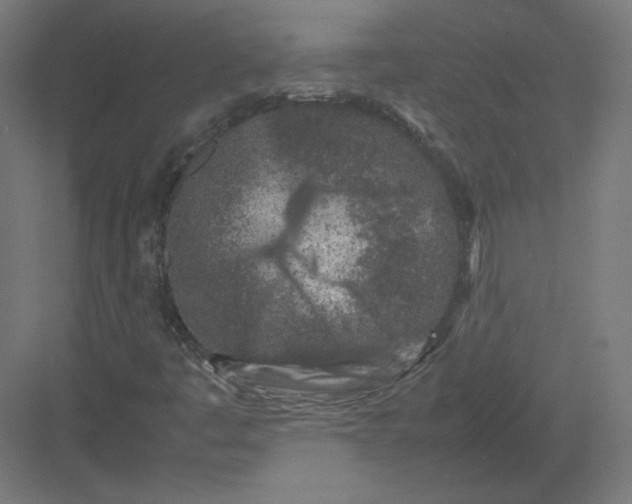 X0000082171445200702092231