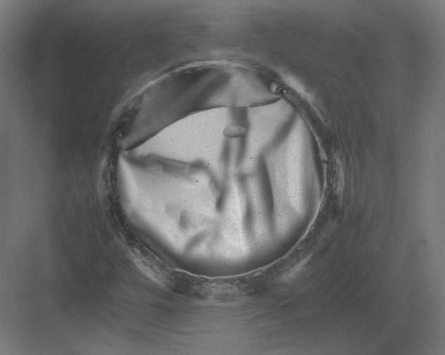 X0000082171448200702092231