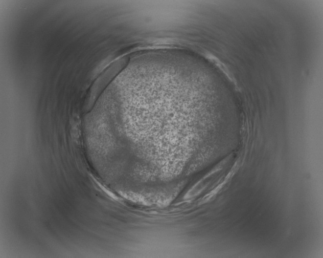 X0000082171449200702092231