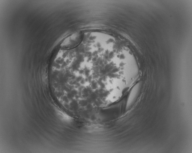 X0000082171450200702092231