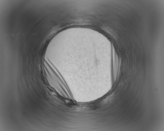 X0000082171451200702092231