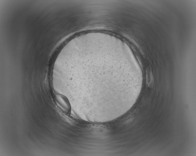 X0000082171452200702092231