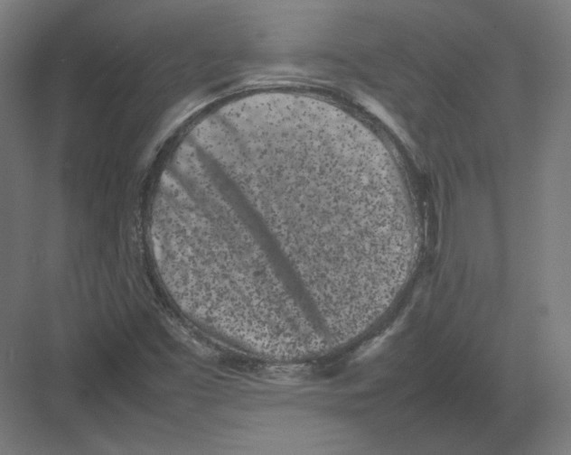 X0000082171453200702092231