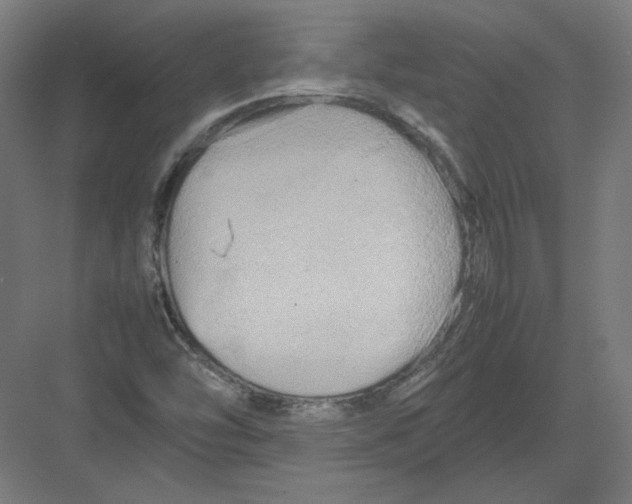 X0000082171454200702092231