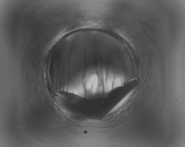 X0000082171455200702092231