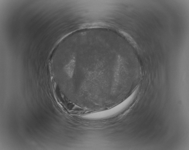 X0000082171457200702092231