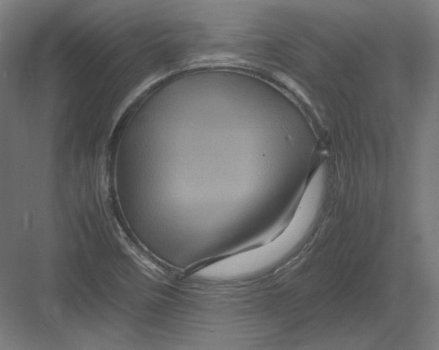 X0000082171458200702092231