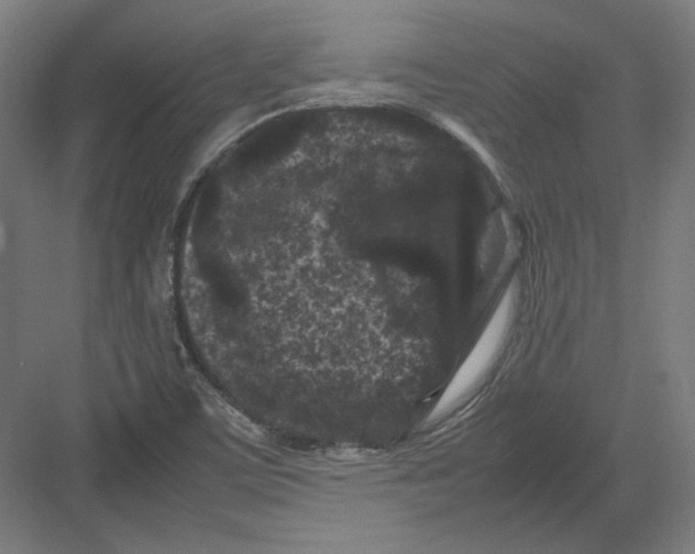 X0000082171459200702092231