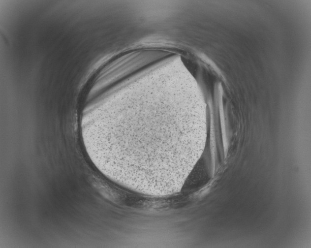 X0000082171461200702092231