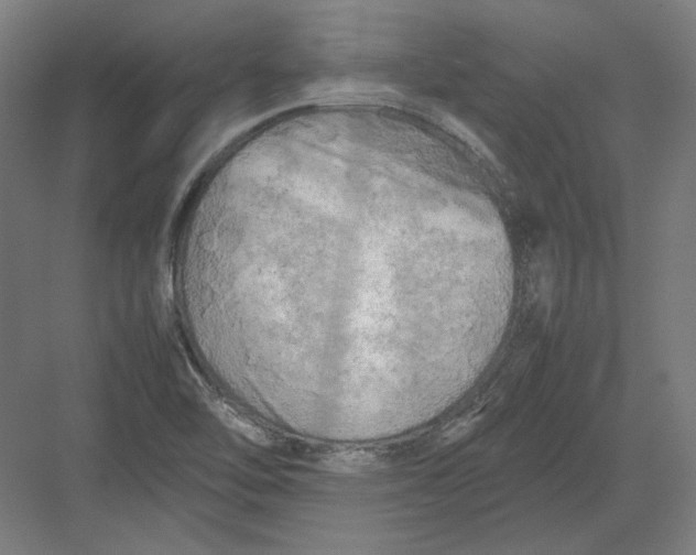 X0000082171462200702092231