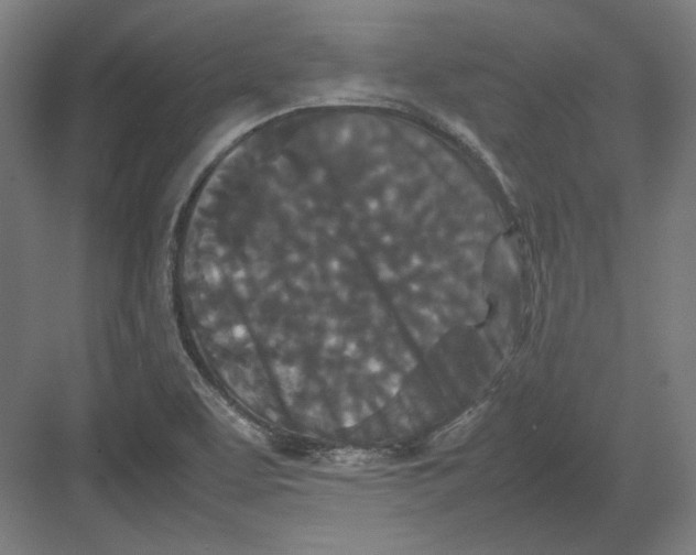 X0000082171463200702092231