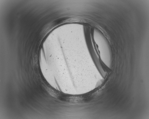 X0000082171465200702092231