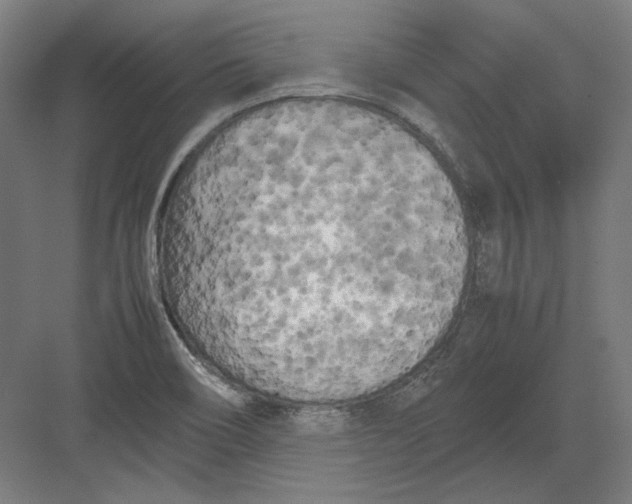 X0000082171466200702092231