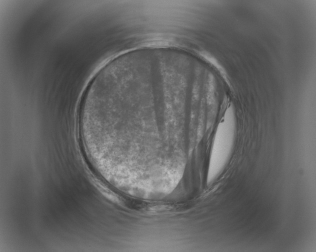 X0000082171467200702092231