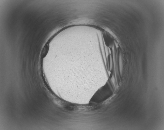 X0000082171469200702092231