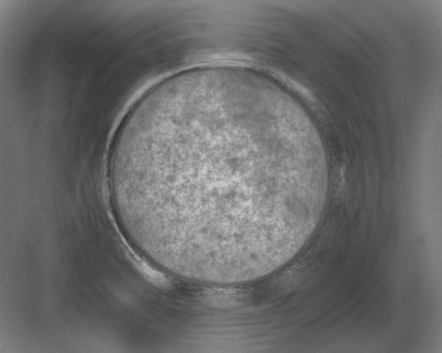 X0000082171470200702092231