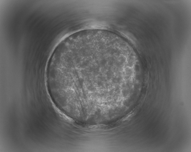 X0000082171471200702092231