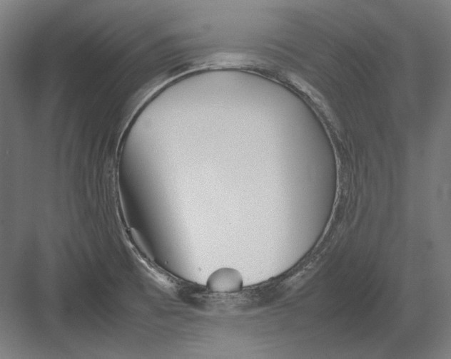 X0000082171473200702092231