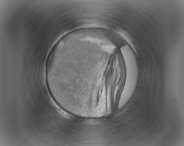 X0000082171476200702092231