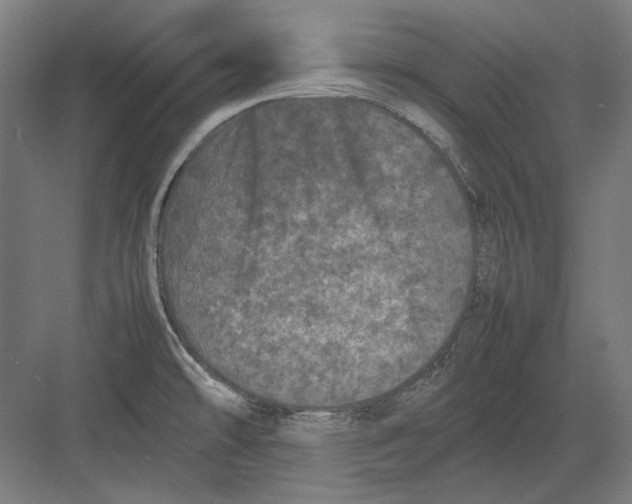 X0000082171478200702092231