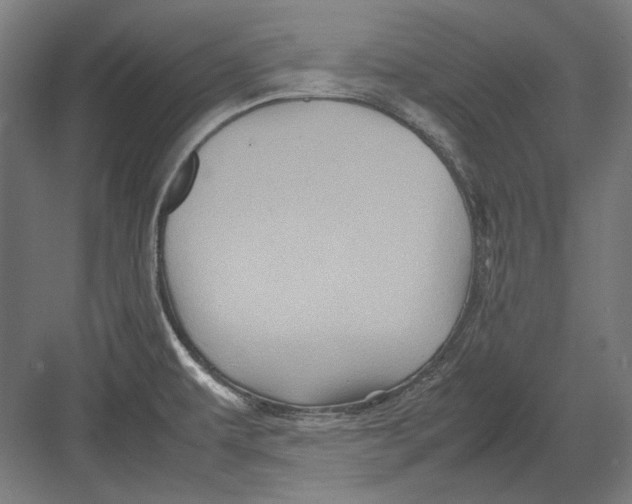 X0000082171479200702092231