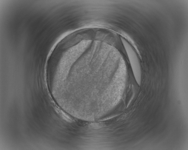 X0000082171480200702092231